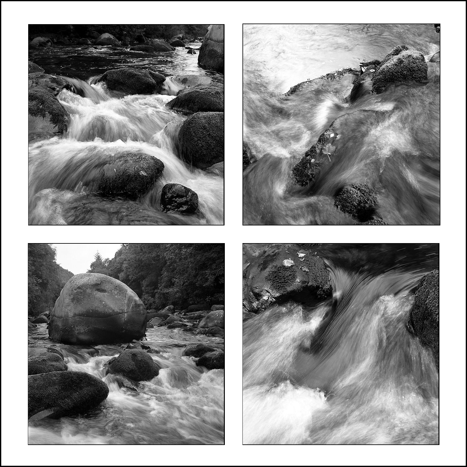 Avonmore River X 4