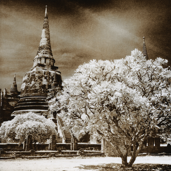 Ayutthaya 2008