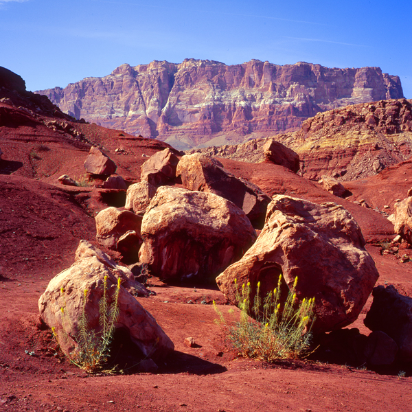 AZ vacation chromes - near Vermilion cliffs