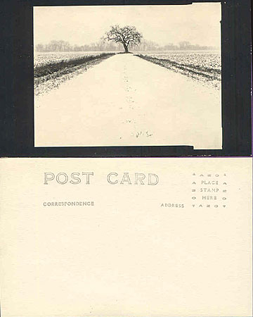 Azo postcard stock, expired 1921