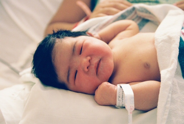 Baby Panda