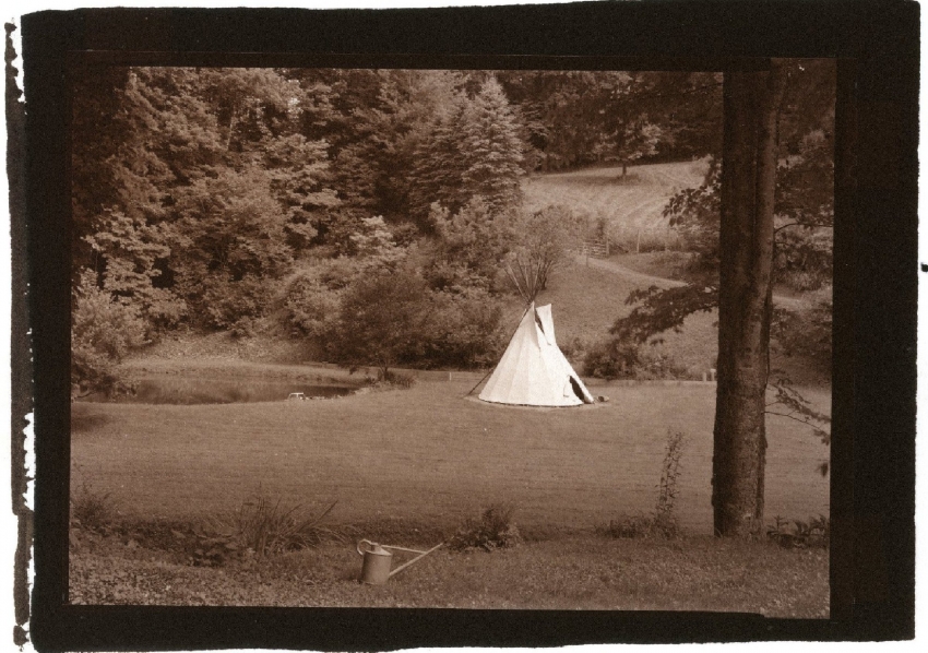 Back Yard 6-16-16