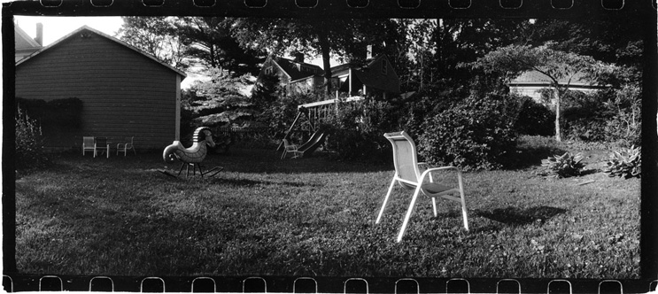 Back yard summer
