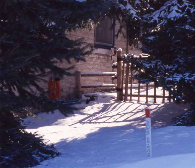 Back yard