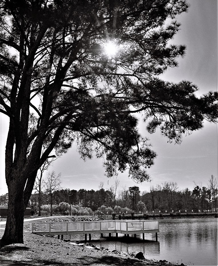 Backlit