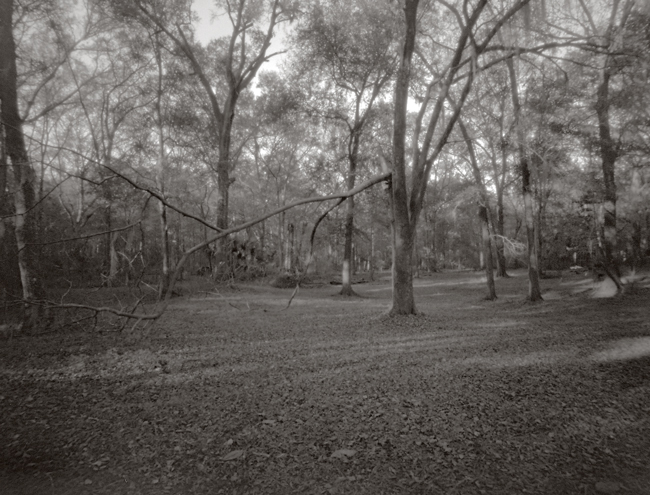 backyard 2012 2