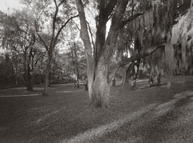 backyard 2012 3