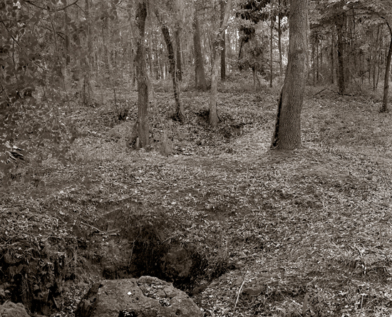 backyard scene 265