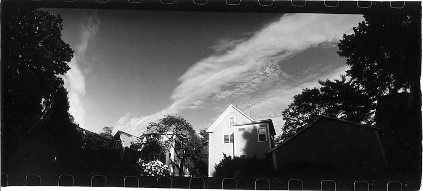 Backyard, summer