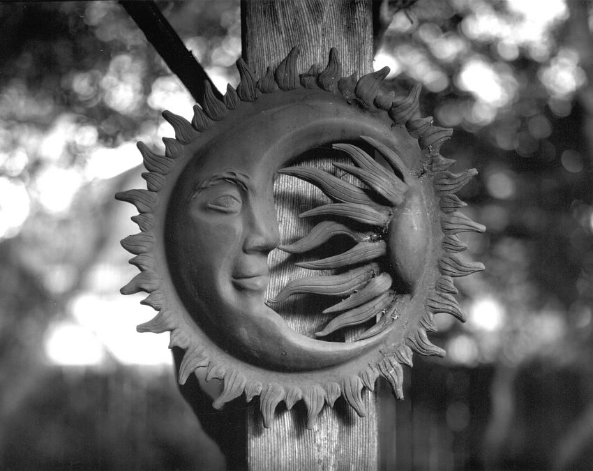 Backyard X-ray Test 2