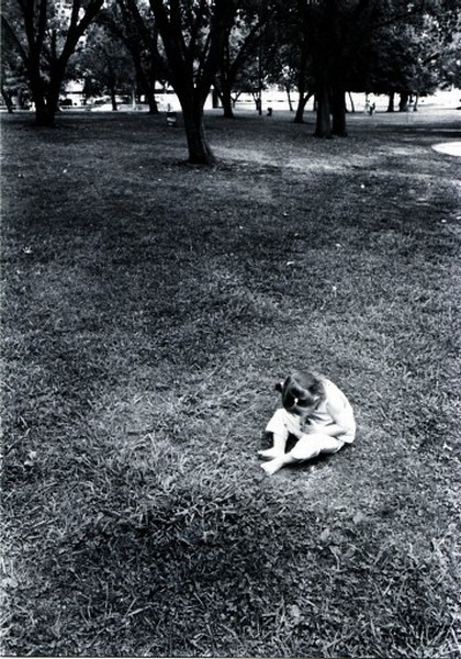 bad day at the park