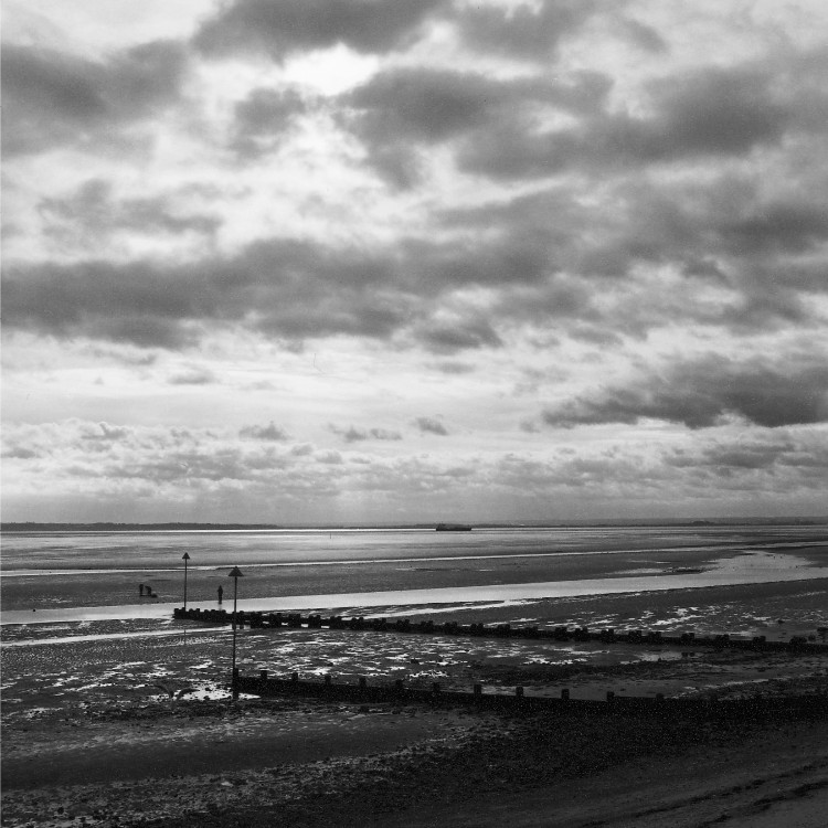 Bait digging on a winter day (version 2)