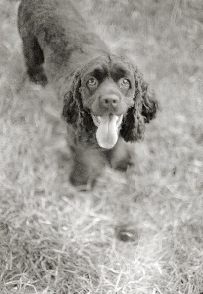 Ball?