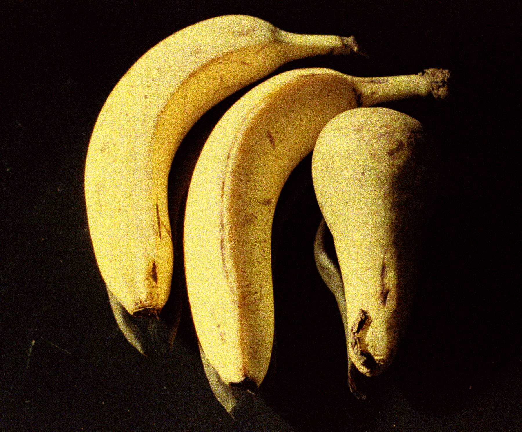 Bananas and Pear Still-Life 02