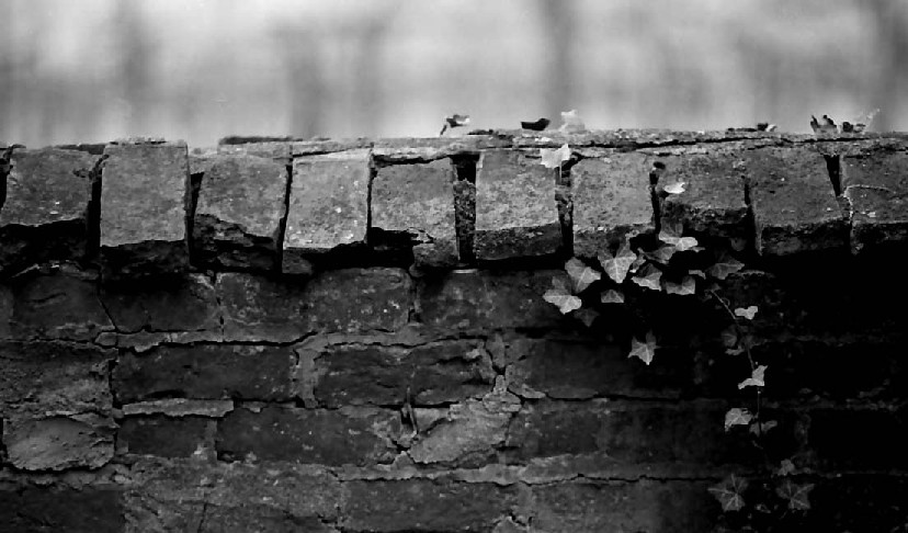 Barboursville Cemetery Wall