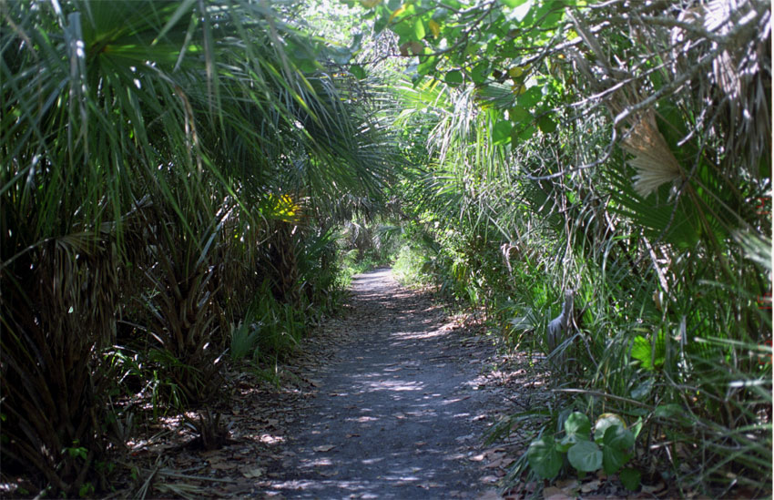 Barefoot Beach Park, Bonita Springs, Florida