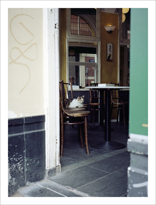 barfly