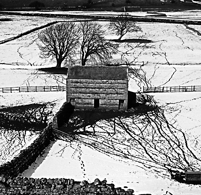 Barn and Trees in Snow