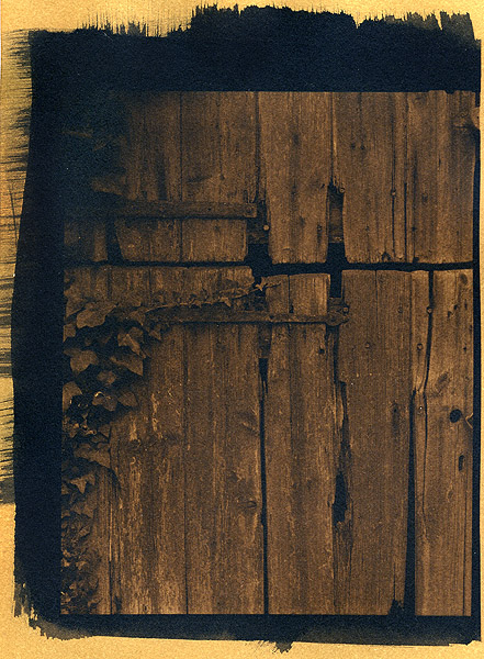 Barn Door - Tea toned Cyanotype