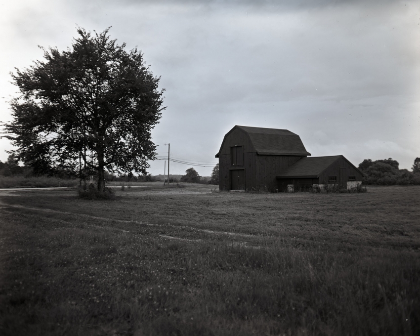 Barn faces tree