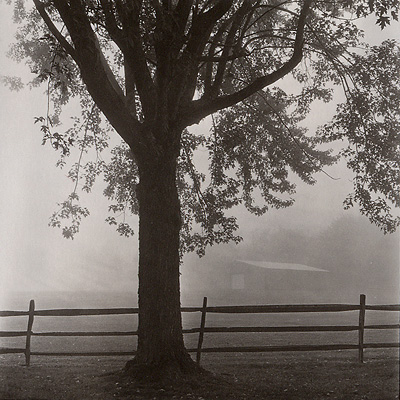 Barn In Fog