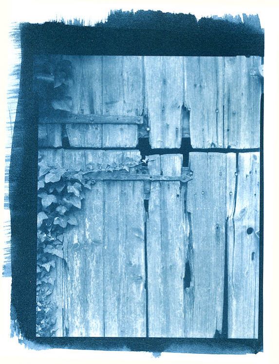 Barndoor - Cyanotype untoned