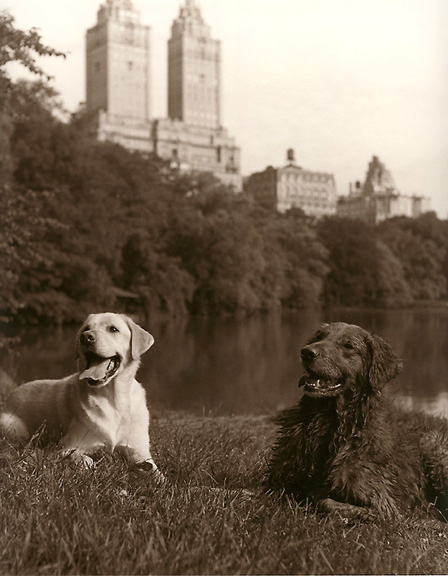 Barney and Charley go to Central Park