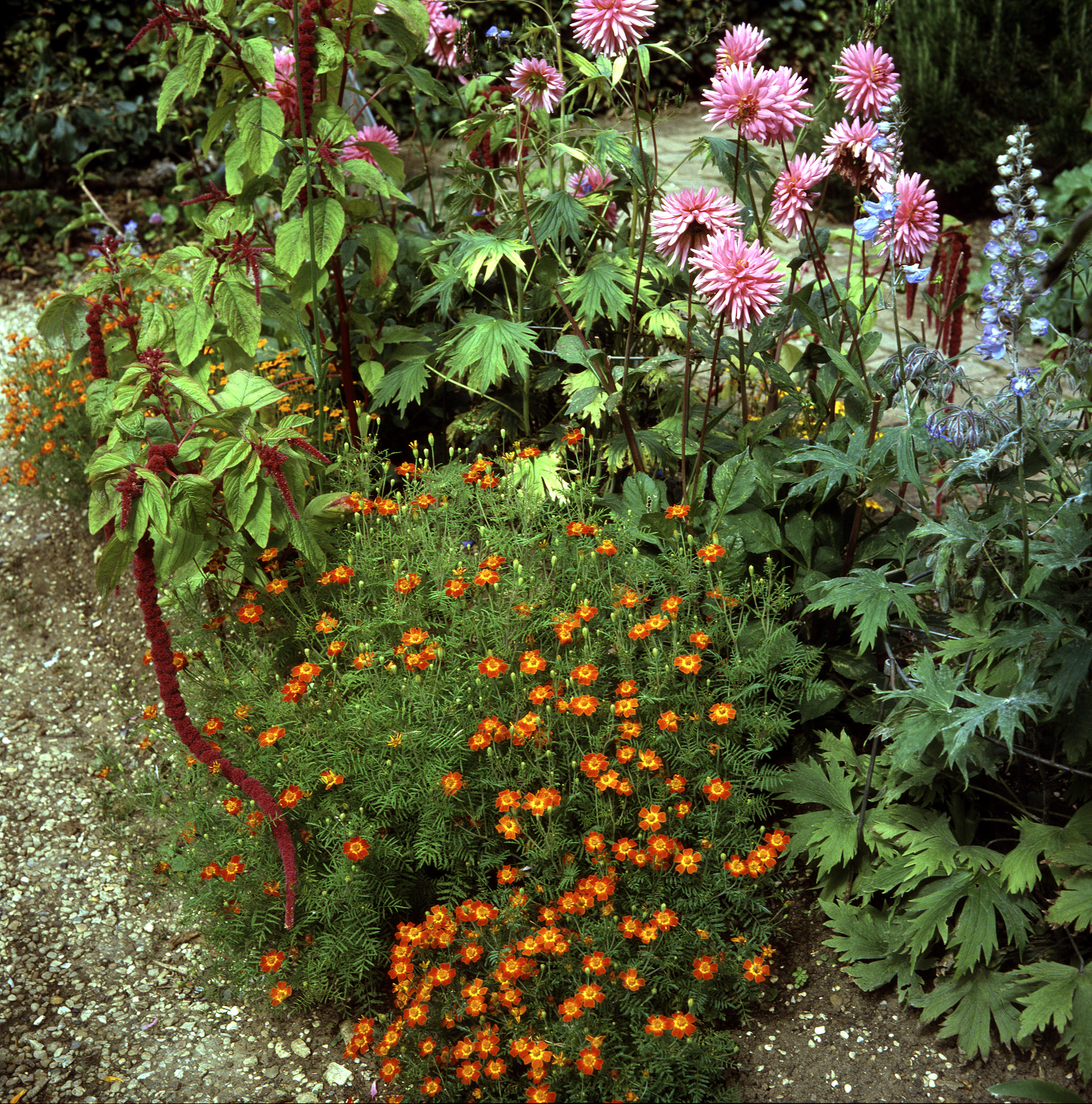 Barnsdale Gardens 04.jpg