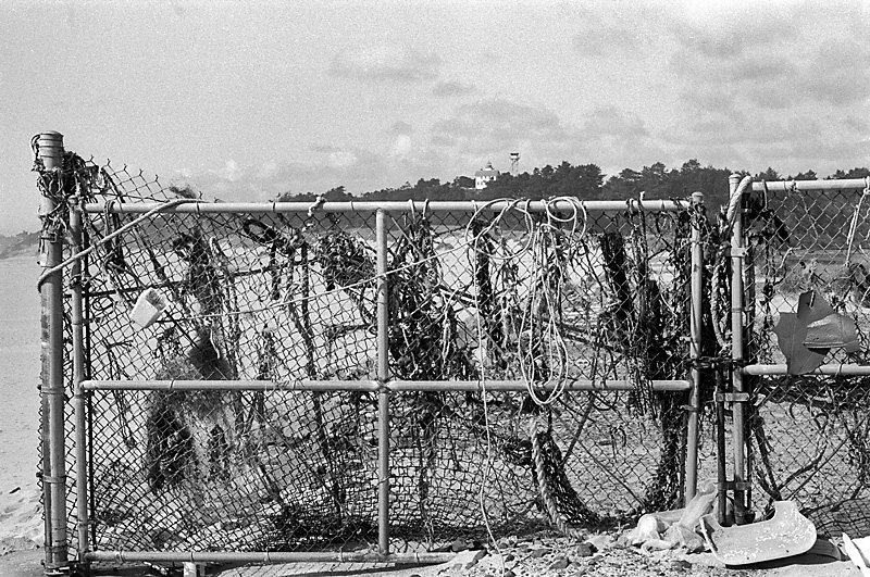 Barricade