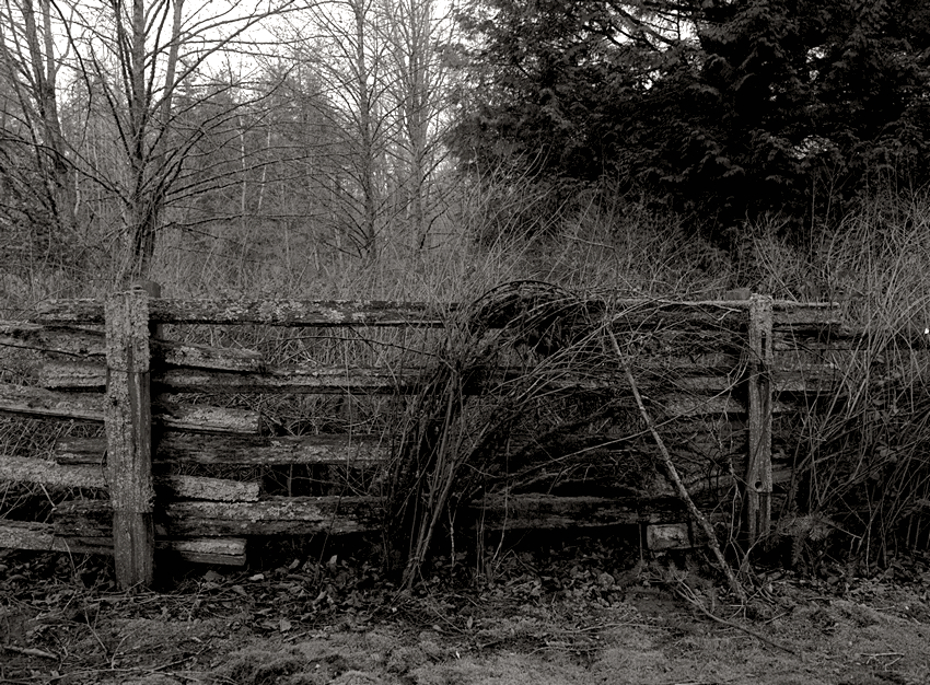 Barrier