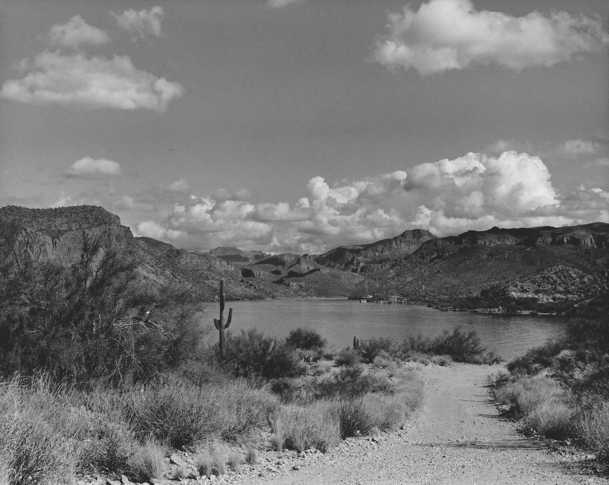 Bartlett Lake
