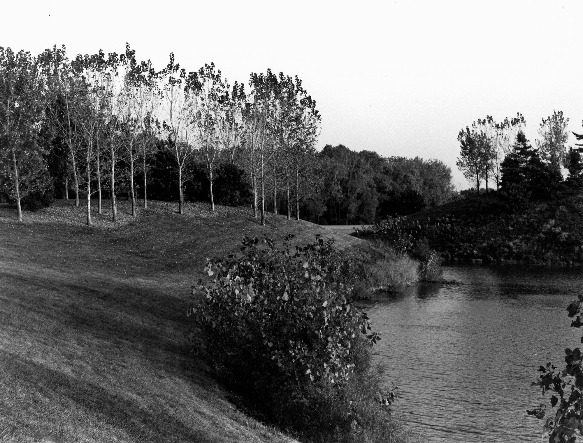 Basin Side