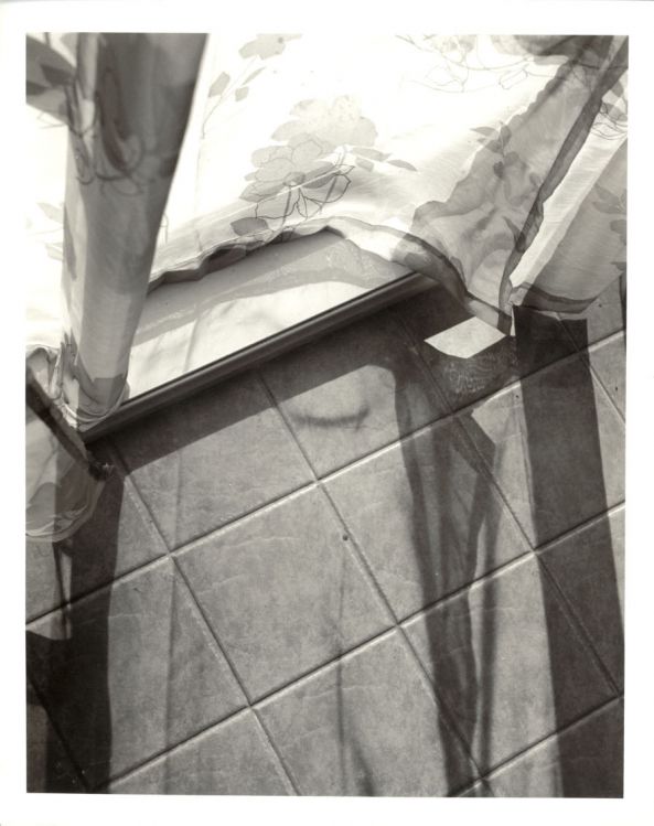 Bathroom curtain