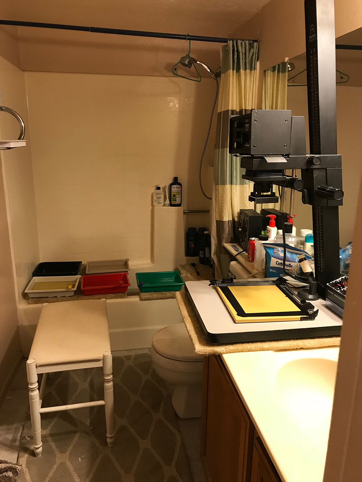 Bathroom Darkroom