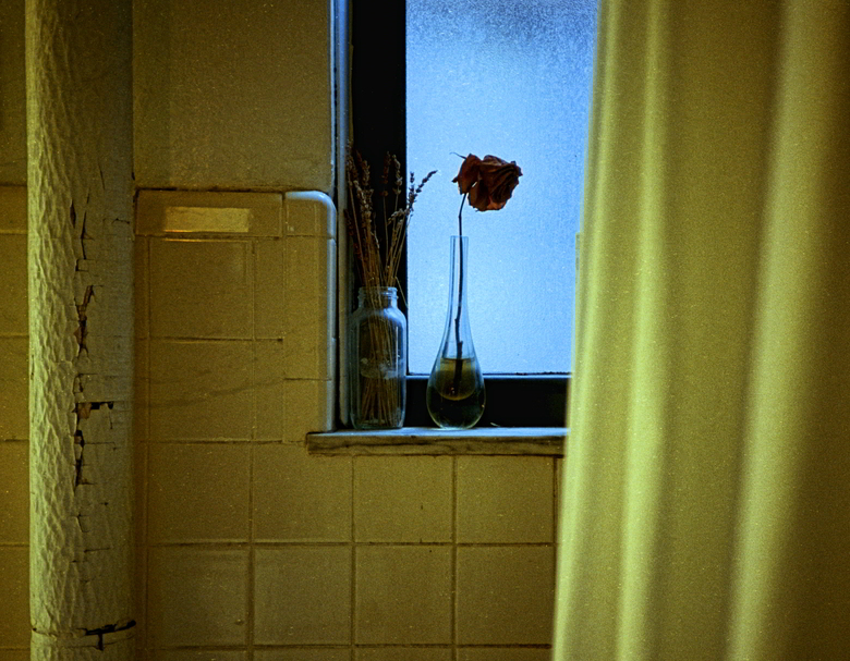 Bathroom/Ektar