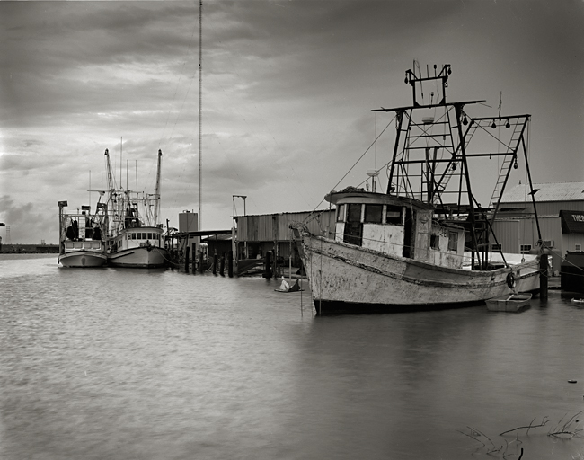 Bayou Bienvenue fleet