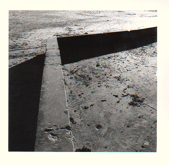 beach abstract 02