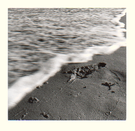 beach abstract 03
