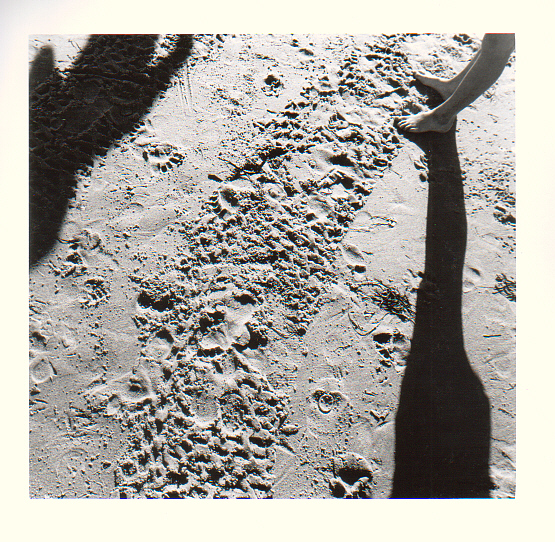 beach abstract 06