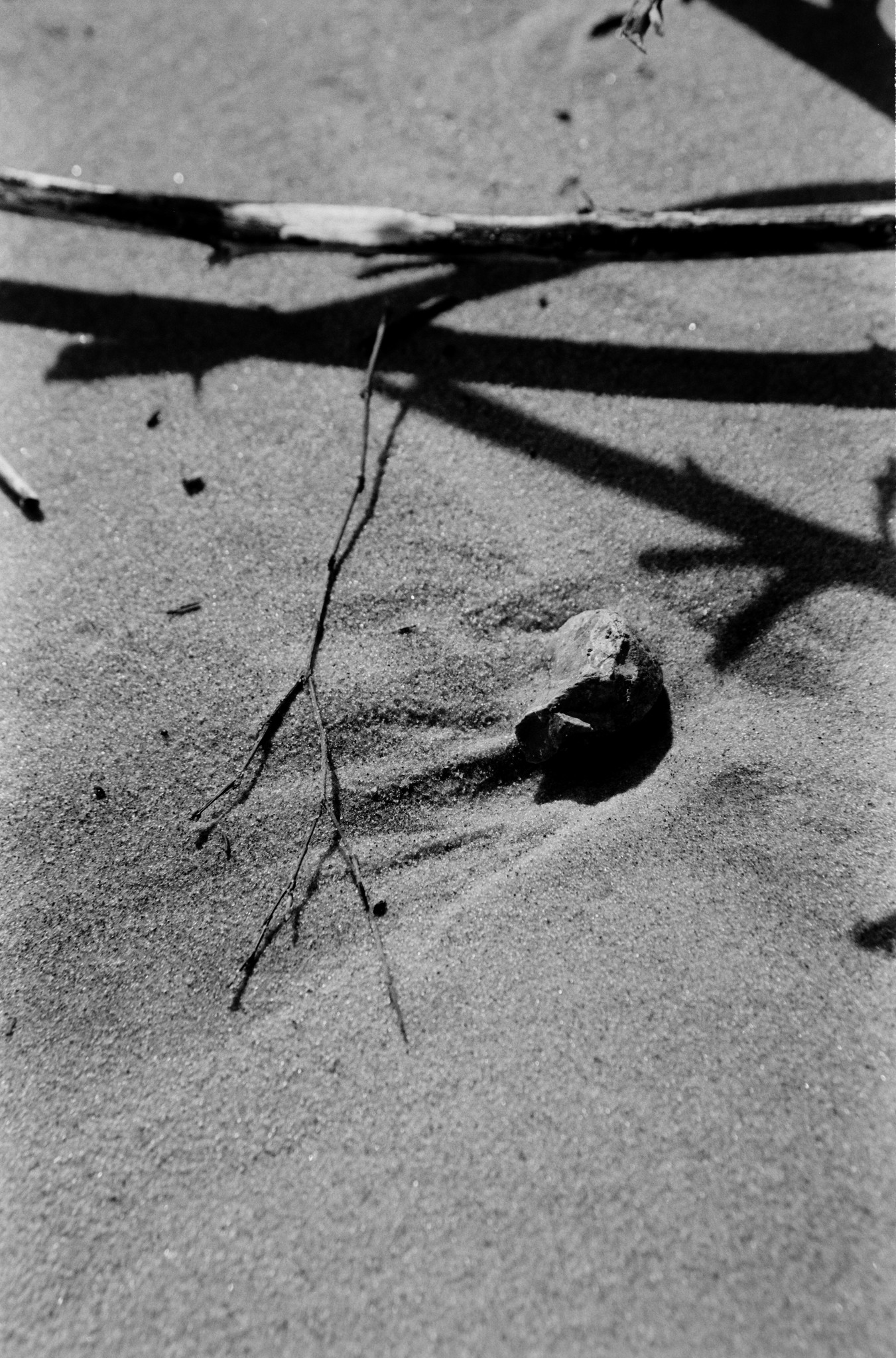 Beach abstract