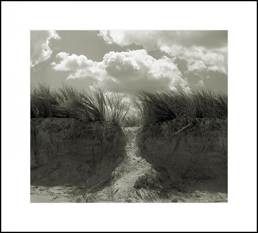 Beach Erosion