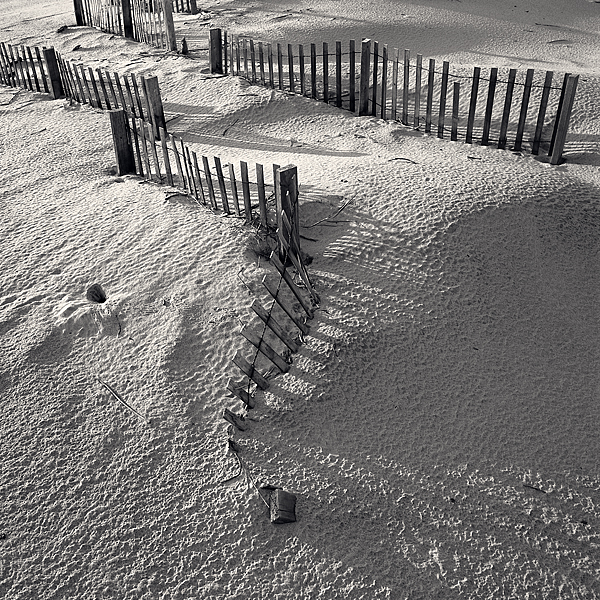 Beach Fence, Pea Island, NC