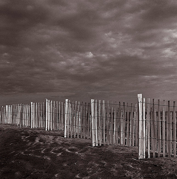 Beach Fence