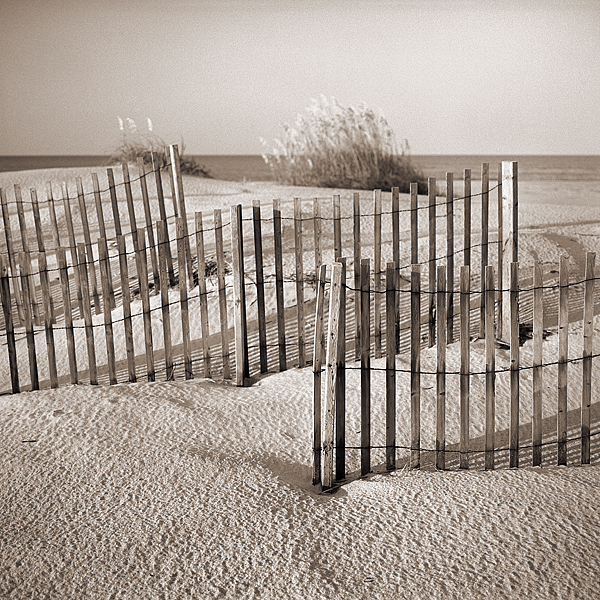 Beach Fences, Pea Island, NC