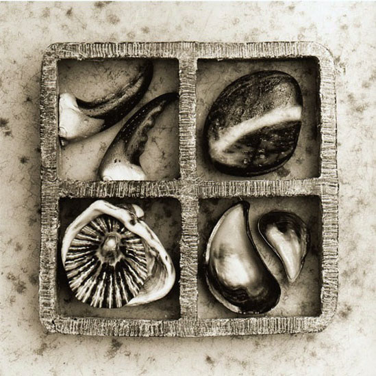 Beach Finds