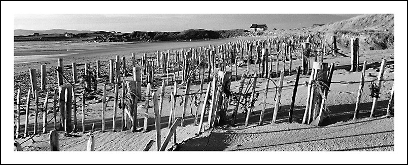 Beach Protection