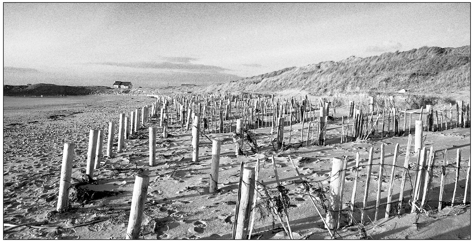 Beach protection