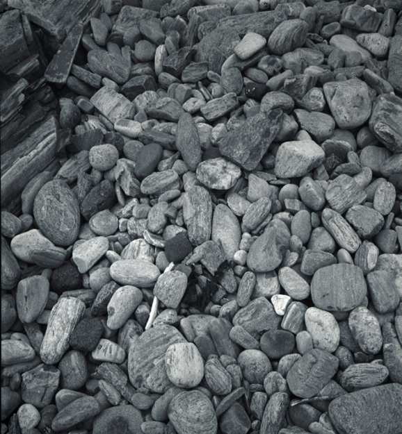 Beach Rocks Near Portland Head Light