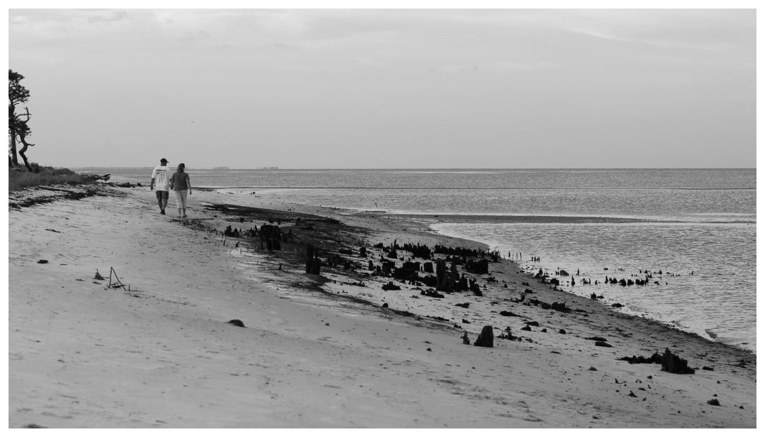 Beach Stroll