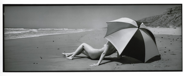 beach umbrella body